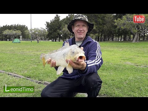 Видео: Супер снасть для донной рыбалки. Налови МНОГО рыбы