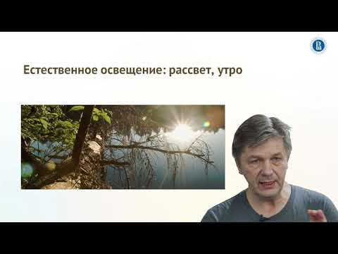 Видео: Урок 2.9. Естественное освещение