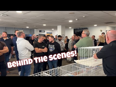 Видео: В ТОРГОВОМ ЗАЛЕ В ДОНКАСТЕРЕ!!