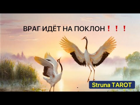 Видео: 🔥ВРАГ ИДЁТ НА ПОКЛОН❗️❗️❗️🔥
