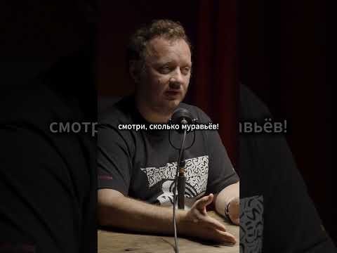 Видео: Ведро кисленьких попок