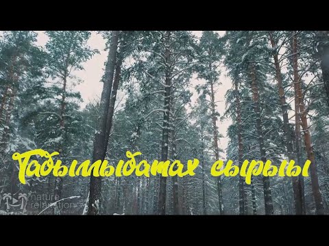 Видео: "Табыллыбатах сырыы"