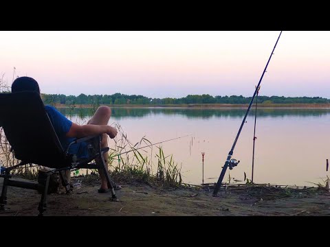 Видео: От яке воно щастя рибака. Короп ламає підсак.