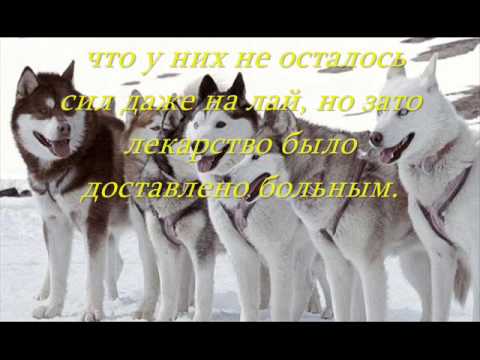 Видео: Балто