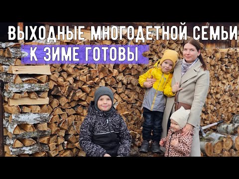 Видео: У нас пополнение🐱Утеплились к зиме❄️Оставили сына в деревне
