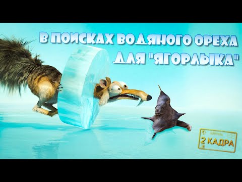 Видео: В поисках водяного ореха для "Ягорлыка". Нижний Днестр. Приключения на воде. 2 кадра 09.05.2024