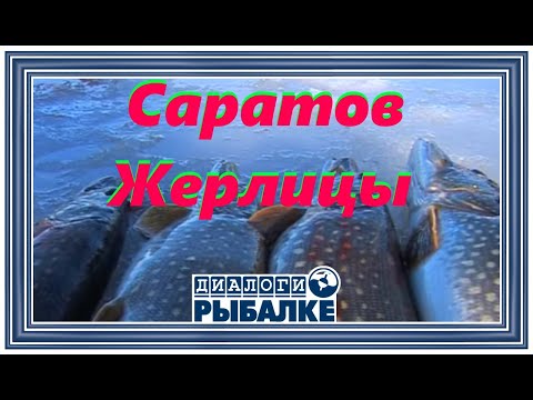 Видео: Диалоги о рыбалке -  01/ Саратов.  Жерлицы!