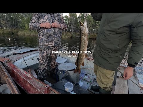 Видео: ОЗЁРА ХМАО. ЩУКА,ЯЗЬ,ОКУНЬ. Заготовка рыбы и грибов. Розыгрыш в видео! Часть 2.
