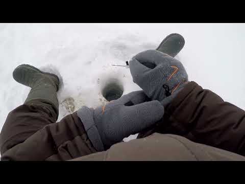 Видео: Белое озеро. Безмотылка. 18.01.25.