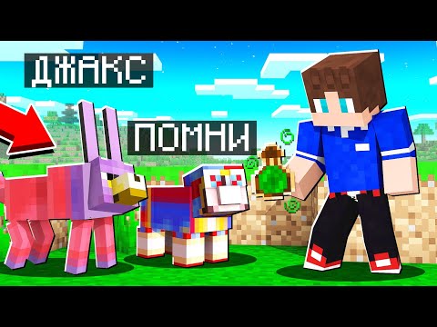 Видео: 5 ХИТРЫХ СПОСОБОВ ЗАТРОЛЛИТЬ ПОМНИ И ДЖАКСА В МАЙНКРАФТ 100% ТРОЛЛИНГ ИСТОРИЯ МУЛЬТИК DIGITAL CIRCUS