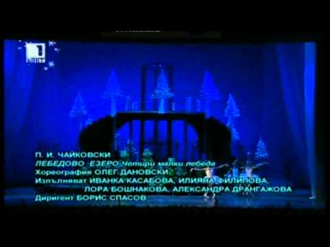 Видео: Новогодишен спектакъл на Софийската опера и балет-2 .f4v