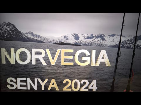 Видео: РЫБАЛКА В НОРВЕГИИ 2024 ! ВТОРОЙ ДЕНЬ ! ПАЛТУС 55 КГ ! Вторая часть.