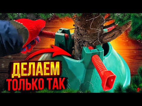 Видео: 8 секретов Как ПРАВИЛЬНО установить елку. Не падает и не осыпается!