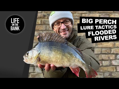 Видео: ЛОВЛЯ ОКУНЯ - ТАКТИКА ПРИМАНКИ В РАЗЛИВЫХ РЕКАХ