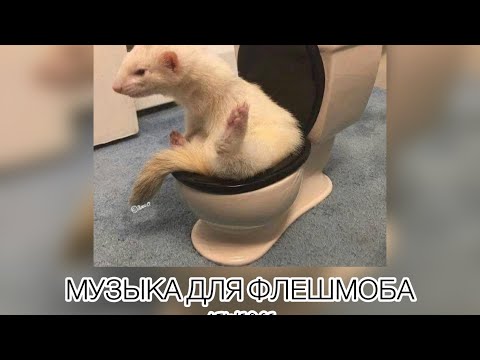 Видео: музыка для флешмоба🤍💋