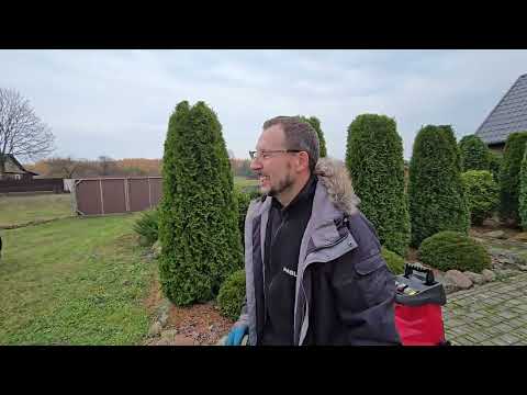 Видео: Личная лесопилка. У нас рыжий кот. В город за булочками. #270 