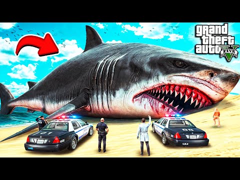 Видео: ПОЙМАЛ САМОГО ОГРОМНОГО МЕГАЛОДОНА В ИСТОРИИ ГТА 5 МОДЫ! ОБЗОР МОДА в GTA 5 ВИДЕО