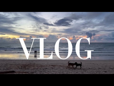 Видео: VLOG 11 | Тайланд | Храм Wat Chalong | отели SALA и DEWA | пляжи Nai Yang и Mai Khao | болтаю |