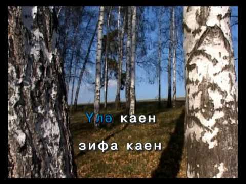 Видео: Ак каен.Татарча Караоке