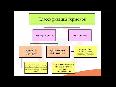 Видео: 33.1. Эндокринная система: саморегуляция, классификация гормонов