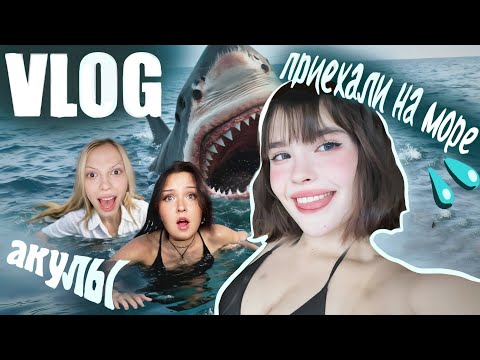 Видео: выживание на море в ИТАЛИИ🦈💦 (унесло прямо в пасть акуле)🐳🌊