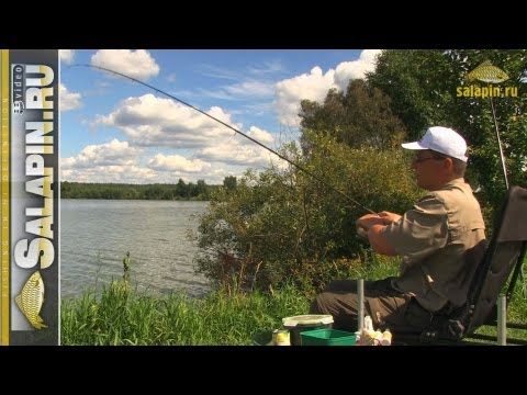 Видео: Ловля карпа фидером на платнике [salapinru]