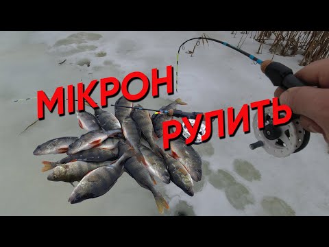 Видео: НАЛОВИВ ЗАЛІКОВИХ ОКУНІВ на БАЛАЛАНСИР МІКРОН !!! МІКРОН РУЛИТЬ !!!🎣🎣🎣