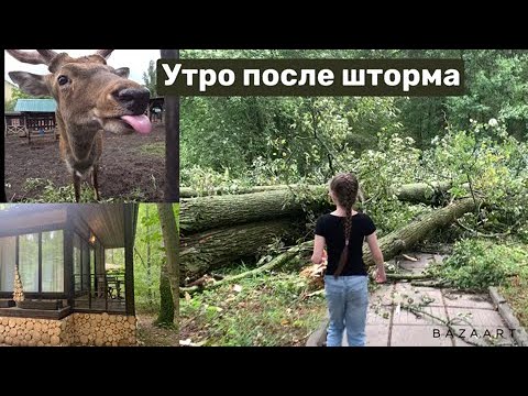 Видео: VLOG ❤ Последствия урагана. Шторм, ливень, гром и молния. База отдыха в Подмосковье. Фореста.