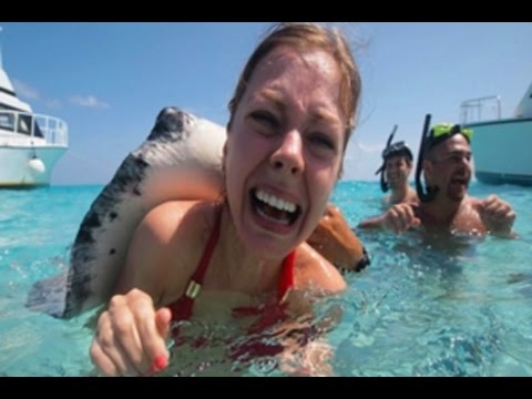 Видео: 10 Самых Опасных Обитателей Океана