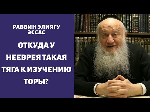 Видео: Откуда у нееврея такая тяга к изучению Торы?