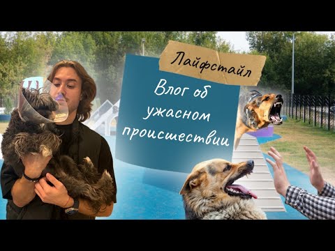 Видео: На мою собаку напали в Израиле| Влог об ужасном происшествии