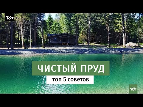 Видео: Советы по уходу за прудом.