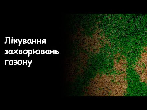 Видео: Газонна хвороба: це вiрус, гриби чи результат дiяльностi. Що робити? Рiзновиди плям. Фунгiциди.