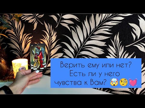 Видео: Верить ему                                           или нет? 🤯🧐💓