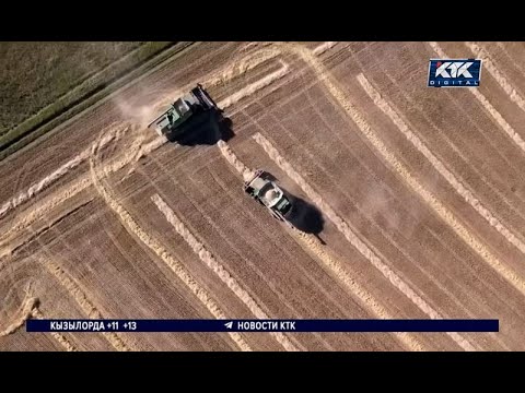 Видео: В Казахстане может стать больше трудовых мигрантов в сельском хозяйстве