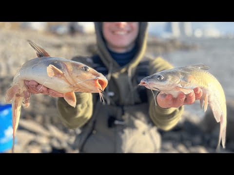 Видео: Рыболовы из Санкт-Петербурга на турнире по фидерной ловле Crazyfishing в Удомле