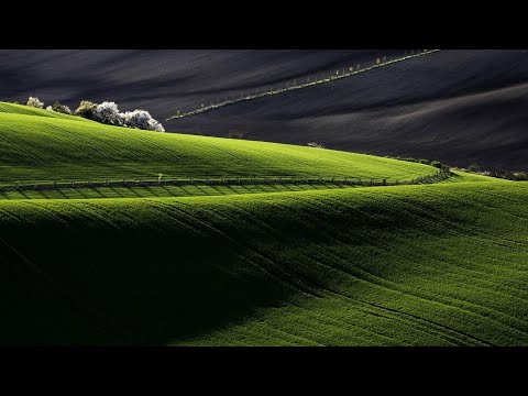 Видео: Глава Пинхас 5785 - Вечность