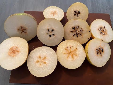 Видео: Выращивание азиатских груш. Часть 7 – Дегустация – 20 век, Shinseiki, Shinko, Hosui, Korean Giant