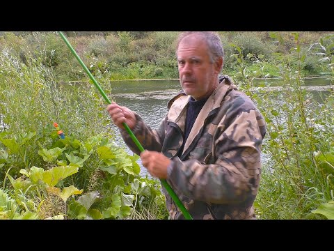 Видео: Рыбалка на поплавок на речке в середине сентября.