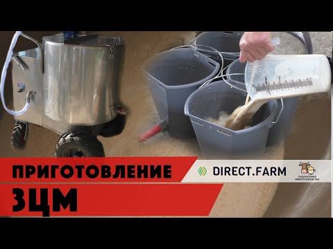 Видео: Приготовление ЗЦМ для кормосмеси