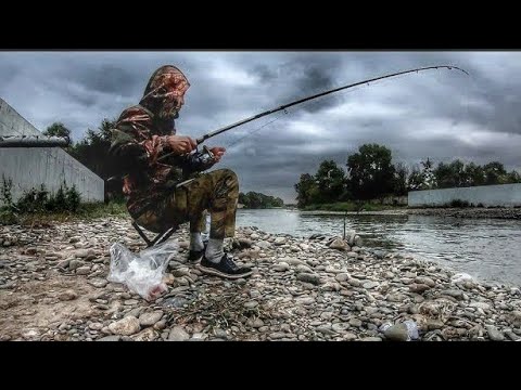 Видео: Осеняя Рыбалка На Усача,Недалеко от города.