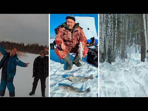 Видео: ВОЛЧИХА. ЖЕРЛИЦЫ . СУДАК.  ЩУКА . ОТЧЁТ  19-20.03.22