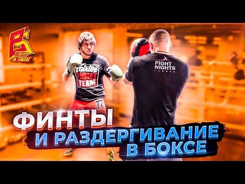 Видео: Боксер не сможет ударить / Финты и раздергивание в боксе / Эльмар Гусейнов