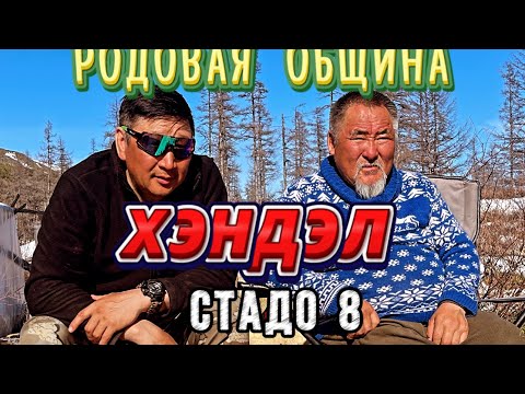 Видео: Родовая община "Хэндэл". Стадо №8. Себян..