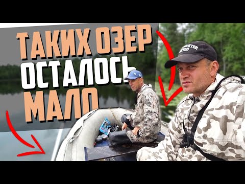Видео: Дикое озеро. Ловля на поплавок!