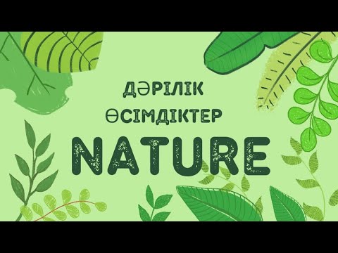 Видео: Дәрілік өсімдіктер. Лечебные растения.