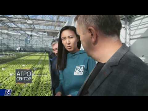 Видео: Степногорский тепличный комплекс