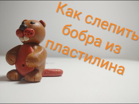 Видео: Как слепить бобра из пластилина\ How to mold a beaver from plasticinе