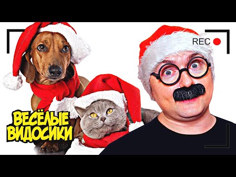 Видео: ВЕСЕЛЫЕ ВИДОСИКИ! 6 МИНУТ СМЕХА (7 выпуск)