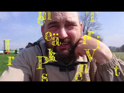 Видео: Слабые семьи,  что я делаю.